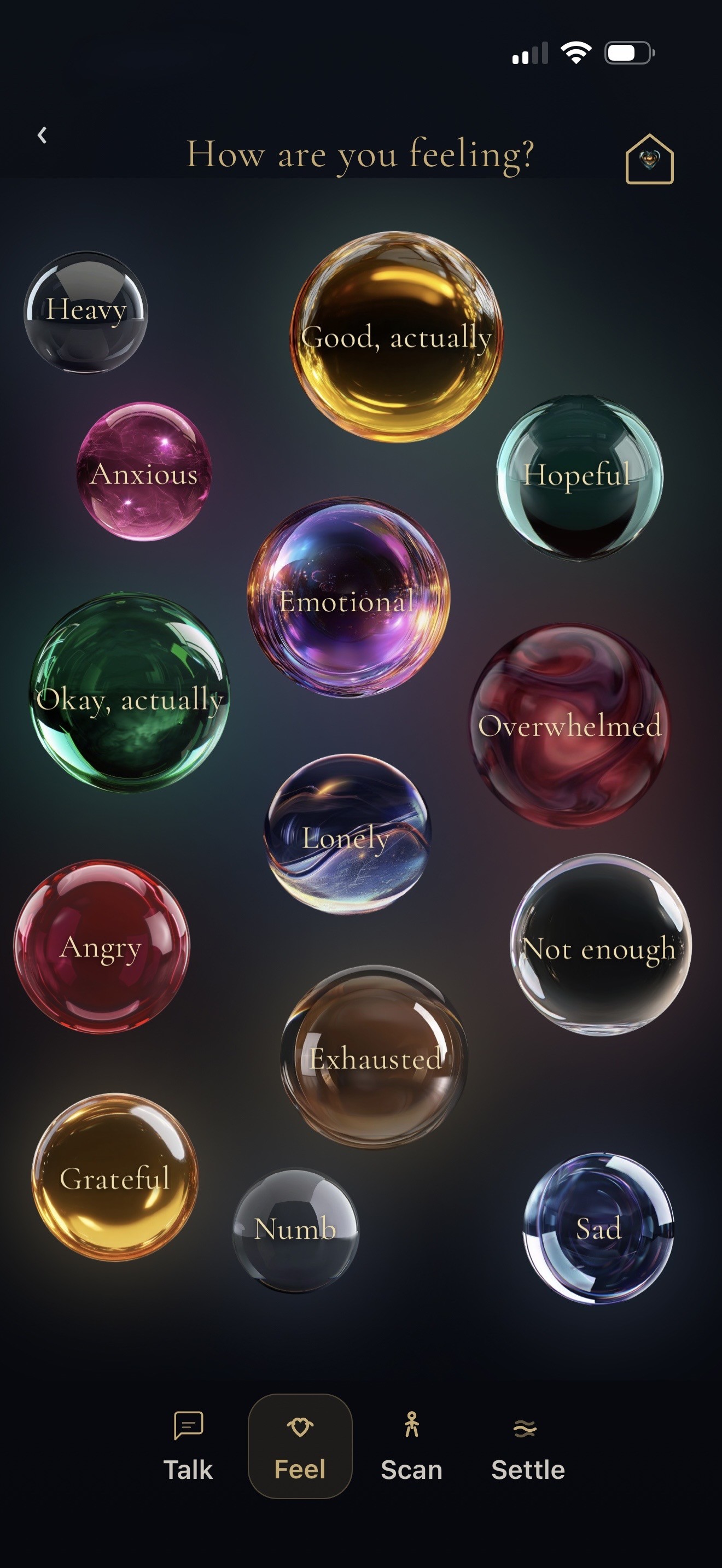 Feel screen from the BelongHere app